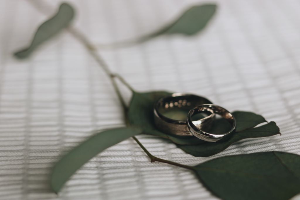 Two polished men’s wedding bands sitting on a leaf.